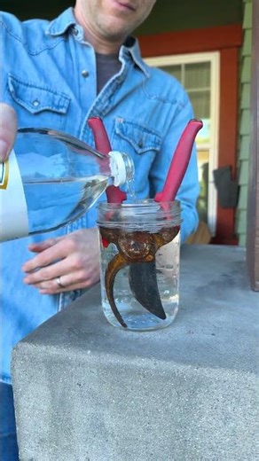 How to derust tools #tools #hometips #cleaning