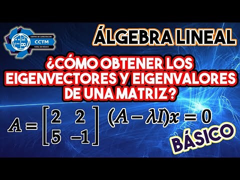 🤓 Eigenvalores y Eigenvectores | Valores y vectores propios | Matriz 2x2 |¡Muy básico!