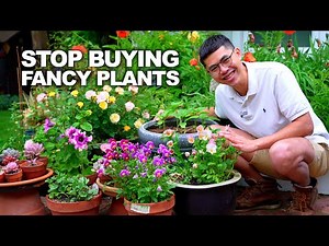 SAVE Money with These Container Garden Hacks!