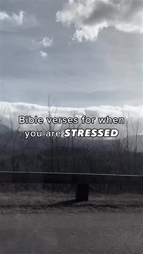 ✨Here are a few Bible verses for when you may be feeling stressed.📖 Remember…GOD is in control of EVERYTHING you are stressed about!🙌🏼💙 ✴︎𝘊𝘰𝘥𝘺 𝘢𝘯𝘥 𝘚𝘢𝘳𝘢𝘩✴︎ #spirituallyconnected19 #christiansoftiktok #christiancontent #christian #christianity #christianinfluencer #influencer #foryou ##foryoupage#foryourpage #fyp#inspirationall #encouragement #stress ##bibleverse#bibleverseaboutstress #christianreels #Godisincontrol #bible #goodnessofgod #christiantiktok #tiktokviral