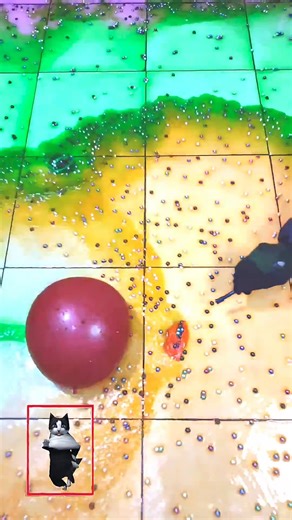 Everything Ballons on Instagram: "Popping four colorful balloons is very funny and satisfying (82) #asmrsounds #funny #poppingballoon"