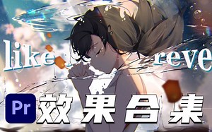 【PR教程】这才是PR效果合集，看完跪了！新手也能学！