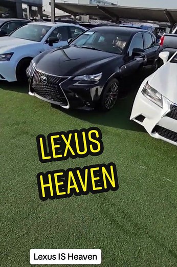 Dr. Check على TikTok