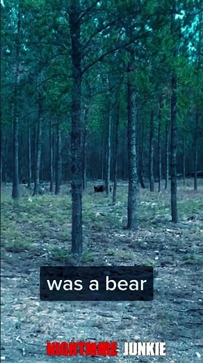 DEADLY Creature on the Loose Shocking Video of Monster Chasing Local Dog! Scary Comp