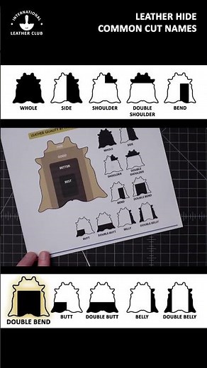 Best Part of the Leather Hide for Crafting