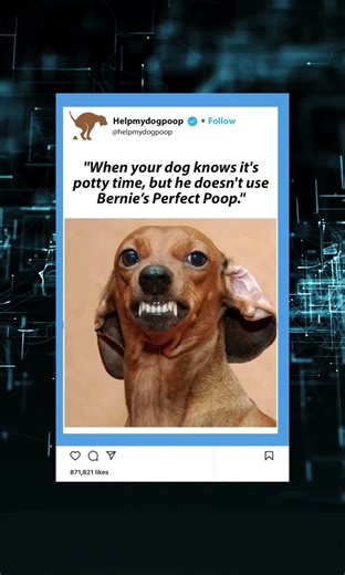 Top 5 dog diarrhea remedies to help your dog poop.