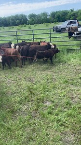 John Stiles on Reels