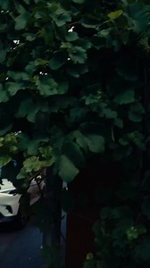 And no, it doesn’t come with a sassy voiceover. Usually. 😇 🚗 | smart