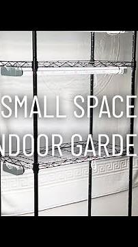Small Space Indoor Garden
