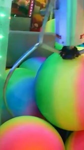 1.2K views · 37 reactions | GIANT Claw Machine  | Carson Claws | Facebook