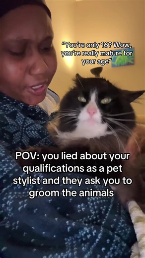 Funny Cat Joke and Grooming Mishap