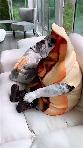 The hottest thing between two buns....🌭🔥🎆 Have a safe and scrumptious 4th of July everyone! 🇺🇸🎆🌭❤️🤍💙 . . . #eggnog #eggnogthebulldog #asmreating #asmrsounds #dogmemes #dogreels #dogsofig #dogsofinstagram #englishbulldogs #pubityreels #9gag #weeklyfluff #woofwoof #dog #dogs #fourthofjuly #july4th #hotdog #independenceday #4thofjuly | Eggnogthebulldog