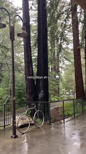 Rainy Days at UCSC: A Slow Day Vlog