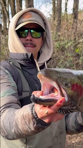 2026 Clearwater river steelhead fishing #idaho #stealheadfishing #stealheadfishing