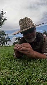 End of Summer Tips for Warm-Season and Cold-Season Grasses