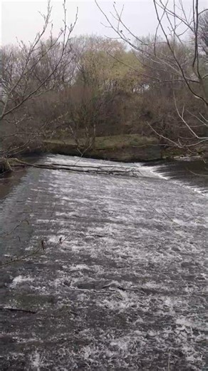 Soothing Fast Flowing Waterway 🌊 Side View Water Movement & Natural Sounds