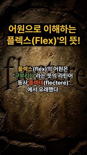 어원으로 이해하는 '플렉스'의 뜻!