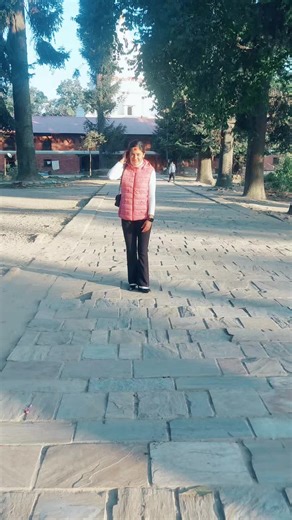 Nur Aryal Dhungel (@nuraryal)’s videos with original sound - Dinosaur 🦖