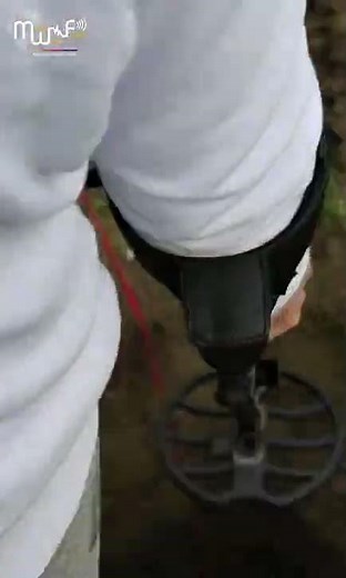 The most powerful gold & metal detector - QZ80