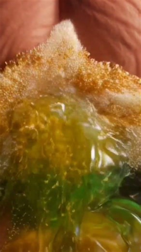 What Happens to Food Inside Your Body? | Digestive System 3D