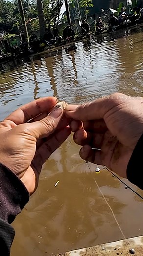 35K views · 229 reactions | Neptune Pancing on Reels | Facebook