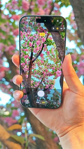 iPhone 15 Pro 🎥 Cinematic Video & Camera Test – DSLR Level? 😱🔥