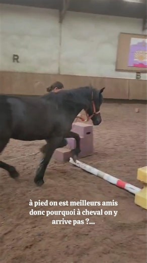 mimi dis moi pourquoi 😭 #chevalpassion #fails #tap #cso