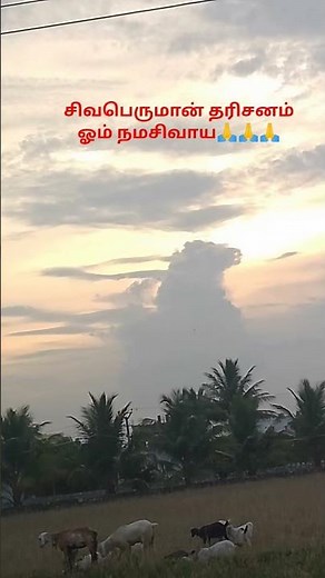 சிவபெருமான் தரிசனம் ஓம் நமசிவாய🙏🙏🙏