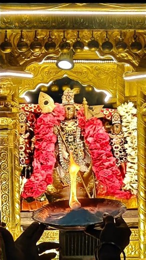 Thiruporur Murugan Golden Chariot ✨ | Divine Ther Darshan 🔥 #Murugan