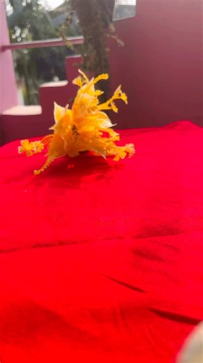 Kitchen stories with ruby. on Instagram