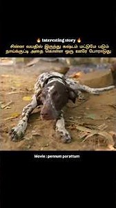 A puppy that has been suffering since childhood is fighting for its survival #shorts #short