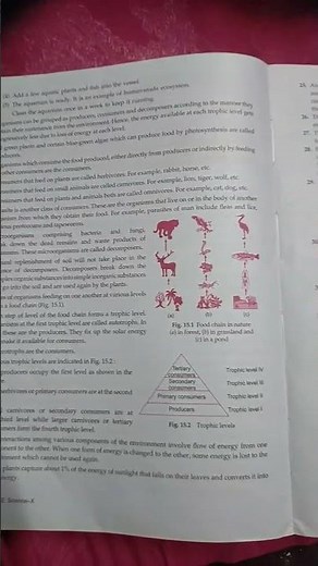 chapter our environment (highlights)class 10 science 👍👍