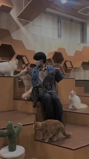 Adorable Ryota and Hiroaki Moments in Japan | BL Couple Kiss