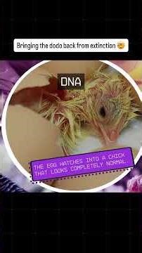 Bringing the Dodo Back From Extinction