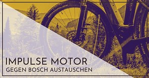 Derby Cycle Impulse Motor gegen Bosch tauschen? 5 Dinge beachten!