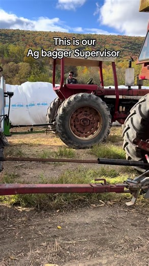 Unloaded some corn fodder into our Ag Bagger. Eller Family Farm. IH 856, G6000 Ag Bagger, and an old H&S forage wagon. #fyp #following #foryou #farmlife #farm #familyfarm