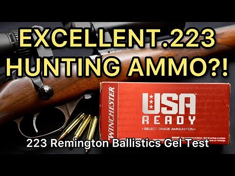 .223 HUNTING & TARGET AMMO?! 223 Remington Winchester USA Ready 62gr Open Tip Ammo Test