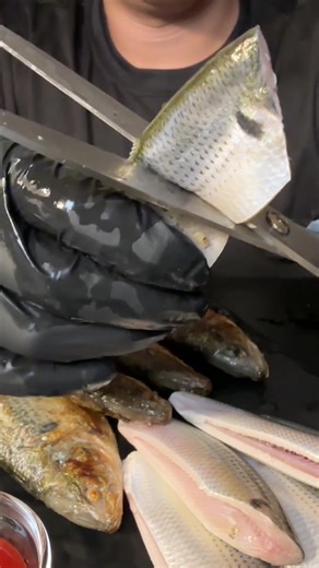 가을전어는 집나간 며느리도 돌아오게 한다는데 왜 제 집에는 아무도 안올까요 #전어 #fish #asmr #eating #mukbang #asmrsounds #fyp #eatingshow #cooking