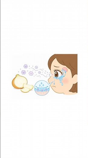 【雑学】玉ねぎを切ると涙が出る本当の理由 #雑学 #雑学ショート #玉ねぎ #料理の仕組み #雑学HUB