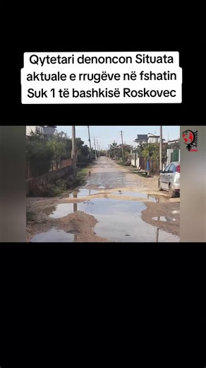 #viral_video #viraltqr #fermeretemyzeqes #myzeqeja #adriatiklapaj #dimal #madeinalbenia🇦🇱🔥✨ #domates #prodhimeshqiptare #berat #fier #roskovec #lushnje #suk1 #goriçan #samatic #drenovica #hinge #albania #beratitv