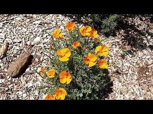 Enjoying The Last Days Of Summer