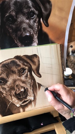 My favourite pen from Razertip, the transfer shader. The iron shape of it makes it multi purpose. From shading on the flat surface, to lines on the edges to the tip for tiny dots to tight areas. #transfershader #razertip #pyrography #woodburning #pyrographyartist @razertip