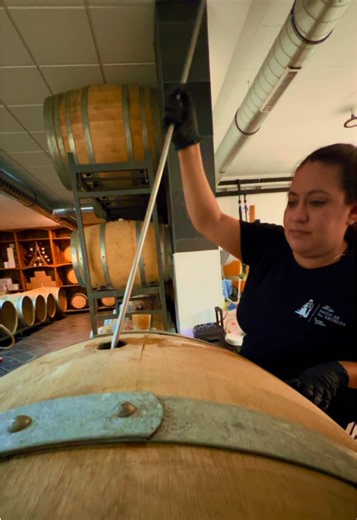 Bâtonnage en Godello: por qué remover las lías tras la fermentación