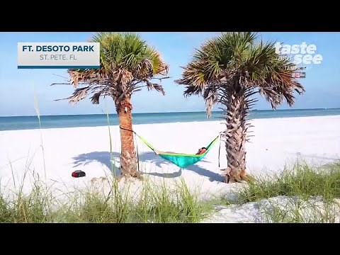 Take the ferry from Ft. DeSoto Park to Shell Key | Taste and See Tampa Bay