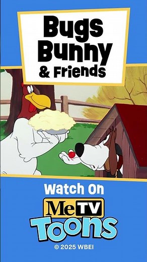 Looney Tunes - Foghorn Leghorn and Barnyard Dawg