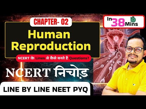 Human Reproduction in 38 Mins | Class 12th Bio Chapter 2 FULL Explainer | Line by Line NCERT NEET