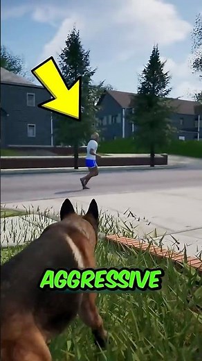 What To Do If an Aggressive Dog Charges At You!