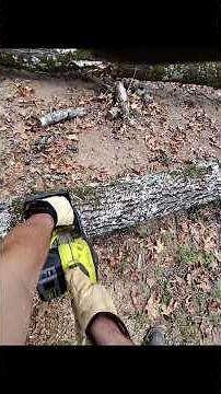 Ryobi chainsaw time!