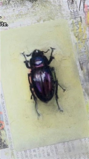 小さい虫イラストメイキング過程 / Tiny Bug Illustration Making Steps