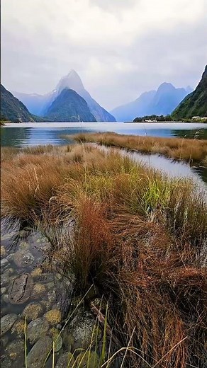 Milford Sound: A Must-See Destination in New Zealand! 🌿🇳🇿
